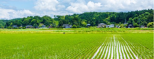 阿東明神山ファーム