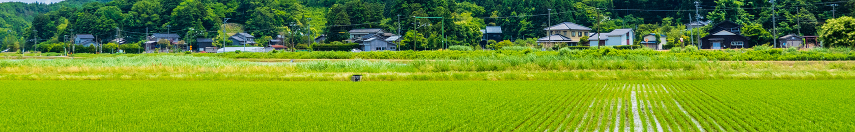 阿東明神山ファーム
